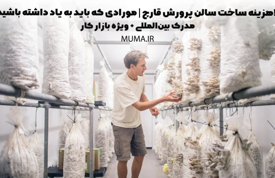 هزینه ساخت سالن پرورش قارچ | مورادی که باید به یاد داشته باشید!!